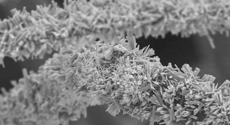 kth.se | courtesy of Joydeep Dutta | These nano scale wires are made with a semiconductor material that can speed up the process of photocatalytic oxidation, which breaks down plastic molecules.