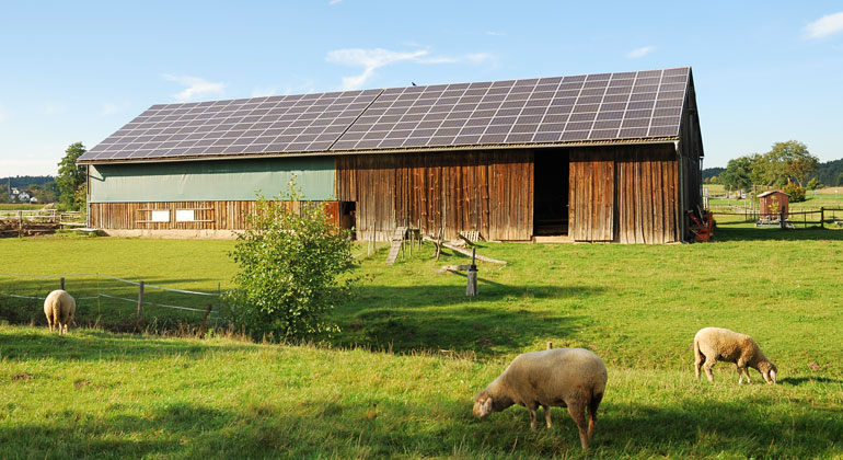 Agro-Photovoltaik ins EEG: Agrar- und Energiewende vereinen