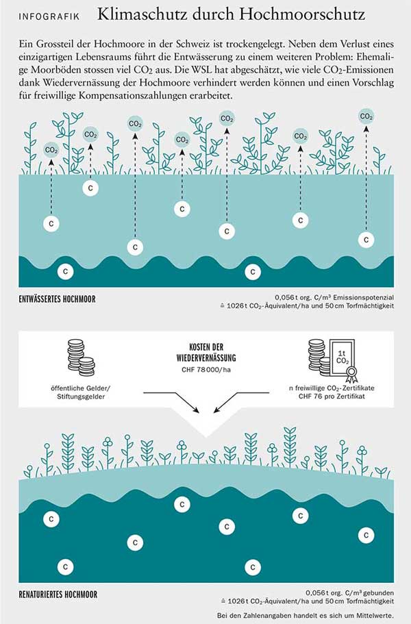 wsl.ch | Infografik aus DIAGONAL 2/2017