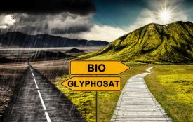 Fotolia.com | ferkelraggae