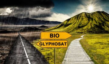 Fotolia.com | ferkelraggae