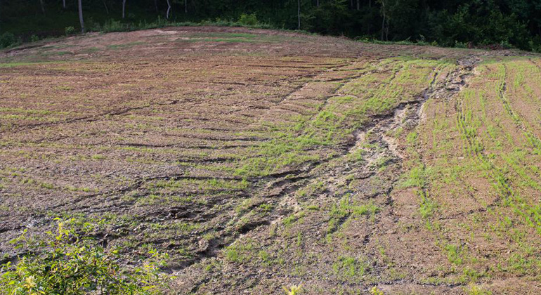 How much soil goes down the drain