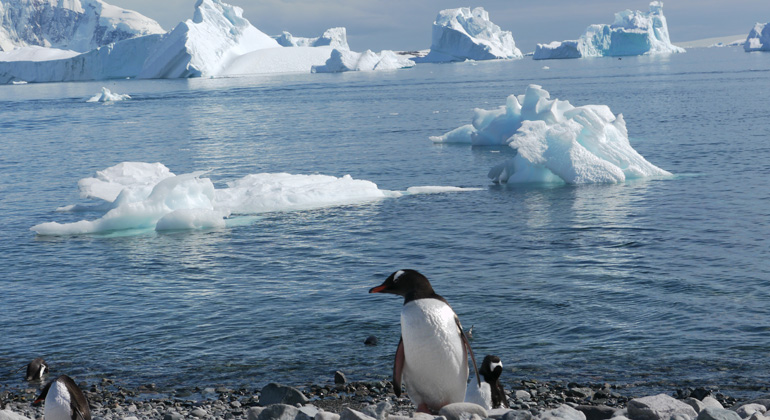 Winzige Eisverluste an den Rändern der Antarktis können Eisverluste in weiter Entfernung beschleunigen