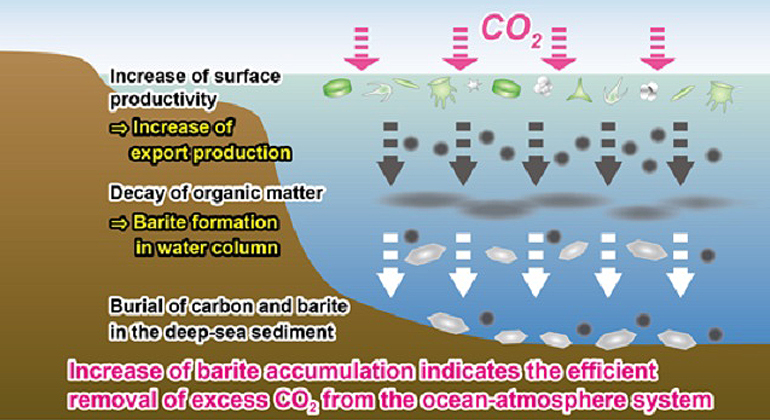 K. Yasukawa | So landeten große Kohlenstoff-Mengen auf dem Meeresgrund