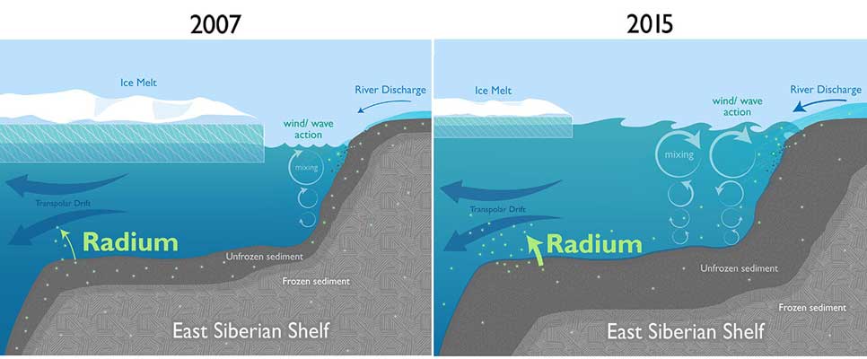 Natalie Renier, Woods Hole Oceanographic Institution | Diminishing sea ice near the Arctic coast leaves more open water near the coast for winds to create waves. The increased wave action reaches down and stirs up sediments on shallow continental shelves, releasing radium and other chemicals that are carried up to the surface and swept away into the open ocean by currents such as the Transpolar Drift. A new study found surprising evidence that climate change is rapidly causing coastal changes in the Arctic that could have significant impacts on Arctic food webs and animal populations.