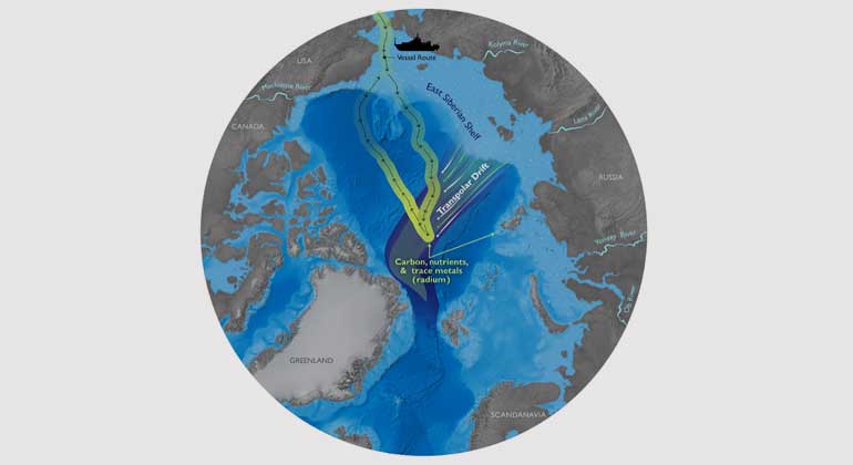 Natalie Renier, Woods Hole Oceanographic Institiution | Scientists aboard the icebreaker Healy measured seawater chemistry across the Arctic Ocean and found that levels of radium-228 have almost doubled over the last decade in the middle of the ocean. The radium was transported from land and shallow continental shelves by currents such as the Transpolar Drift. The surprising finding is evidence that rapid climate change is causing large-scale changes along the Arctic coast, such as diminishing sea ice. These coastal changes, in turn, could also deliver more nutrients, carbon, and other chemicals into the Arctic Ocean and have significant impacts on the Arctic food web.