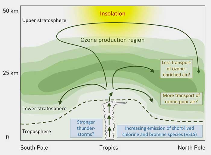 ETH Zurich / IAC | Ozone is created when oxygen is split by sunlight, mainly at altitudes of 30 km and above in the tropics, and it is then distributed around the globe by atmospheric circulation. Climate change is believed to be altering the pattern of these air currents, so that less ozone is formed. Very short-lived substances (VSLSs) are on the rise and could also be entering the lower stratosphere and depleting ozone there.