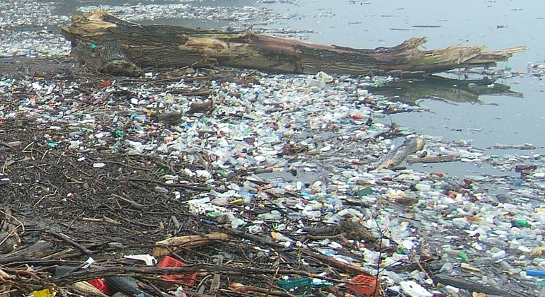 Bakterien sollen das Plastikmüllproblem lösen