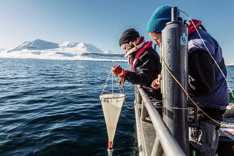 Alfred-Wegener-Institut | Paolo Verzone | AWI-Biologinnen nehmen Proben im Kongsfjord, Spitzbergen.