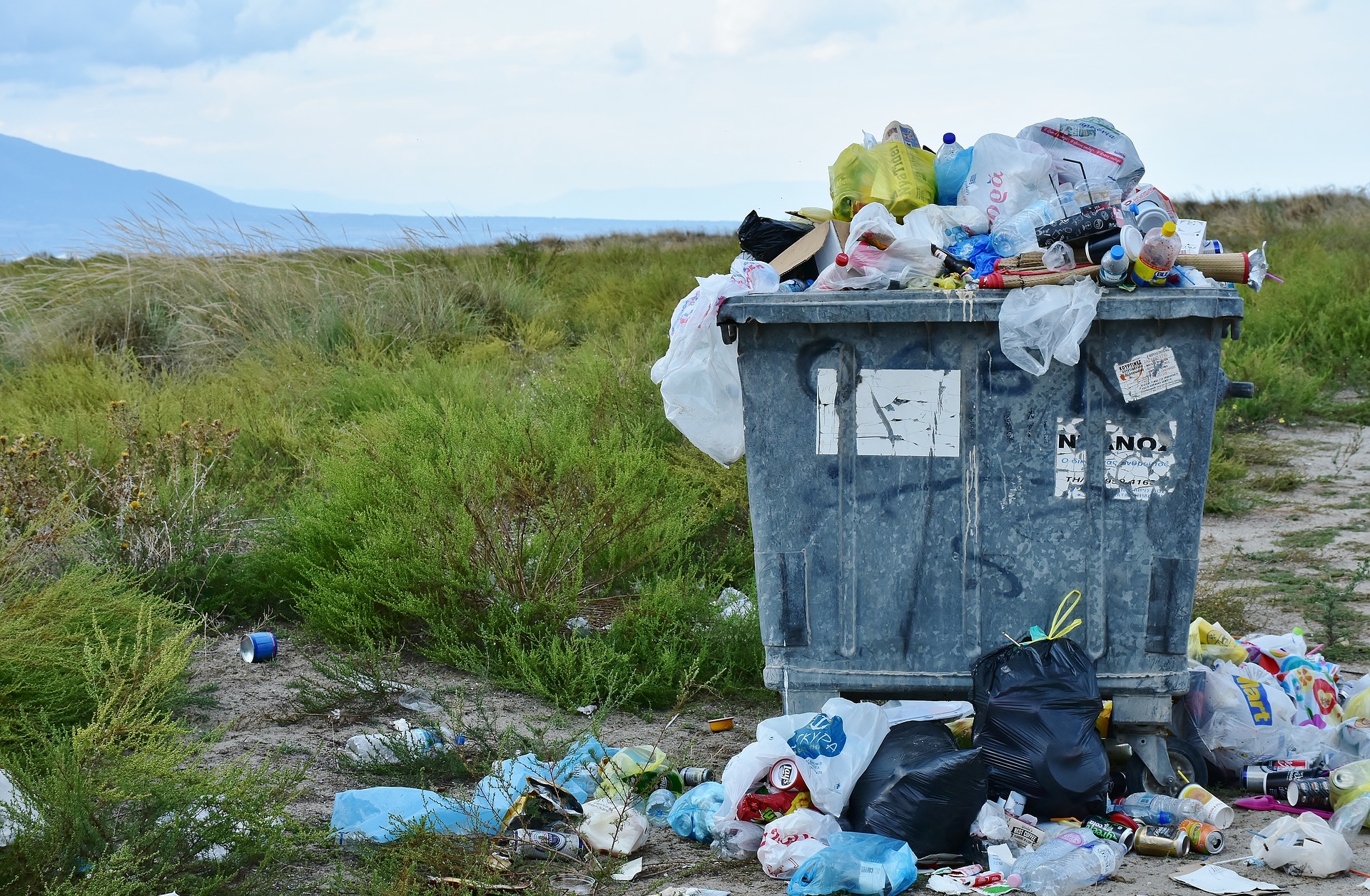 Einwegplastik und Zigarettenkippen in der Umwelt kosten Kommunen jährlich 700 Millionen Euro