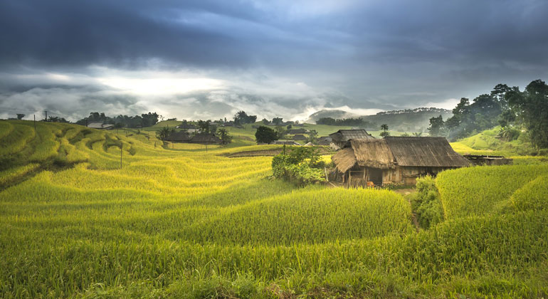 pixabay.com | Quangpraha | Reisfelder – wie hier in Vietnam – werden bedroht durch verschmutzte Luft und Landnahme.