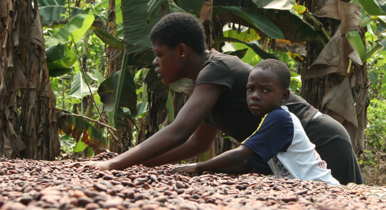 Südwind | Christina Schröder | Kind hilft auf der Farm der Eltern beim Trocknen der Bohnen, Ghana