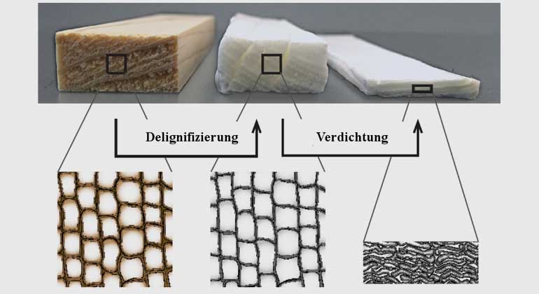 Uwe Kerkow | Vom Holz zur Nanozellulose