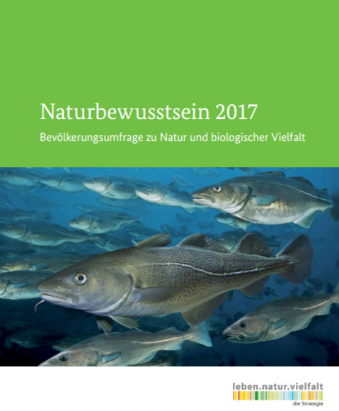 bmu.de | Alle zwei Jahre belegt die Naturbewusstseinsstudie, wie wichtig Natur und biologische Vielfalt in den Augen der Bürgerinnen und Bürger sind. Auch die aktuelle Studie 2017 zeigt: Für die Menschen in Deutschland ist der Naturschutz eine bedeutende gesellschaftliche Aufgabe. Sie erwarten, dass die Politik sich dafür einsetzt. Das sieht man besonders gut am neuen Themenschwerpunkt Meeresnaturschutz.