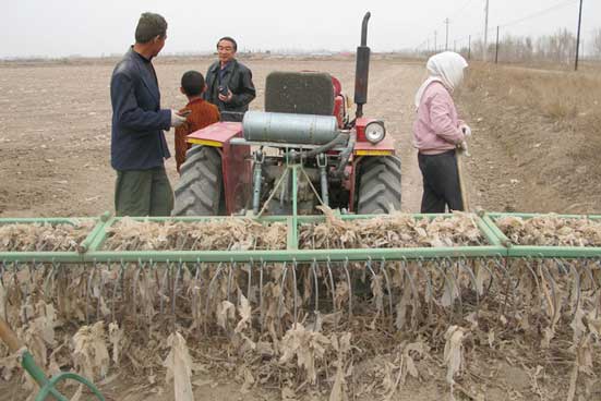 ETH Zürich | Liu EK et al. 2014 Environ. Res. Lett. 9 091001, CC 3.0 | Weltweit - wie hier in China - werden sehr dünne Mulchfolien aus nicht-abbaubarem Polyethylen eingesetzt. Diese zerreissen leicht, verbleiben im Boden und verschmutzen diesen massiv.