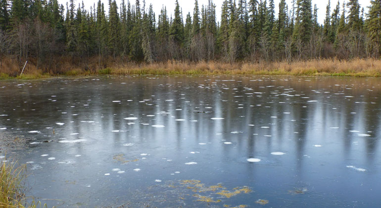 awi.de | Guido Grosse | Methanblasen im Eis eines Thermokarstsees in Fairbanks