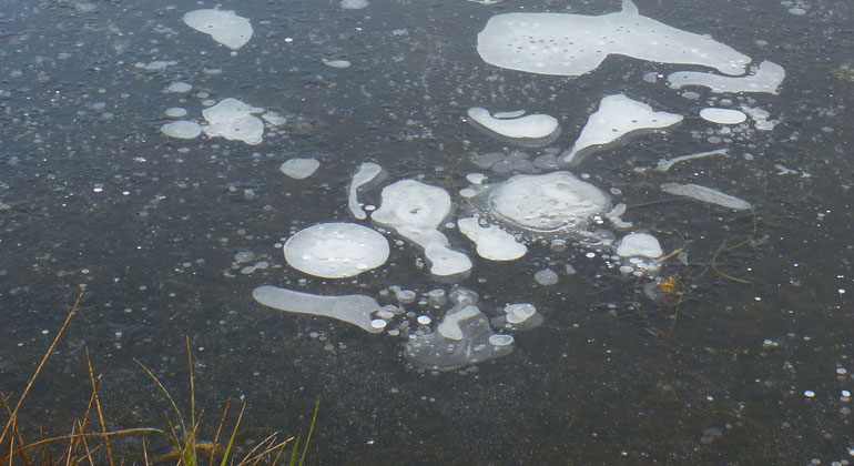 awi.de | Guido Grosse | Methanblasen im Eis eines Thermokarstsees in Fairbanks
