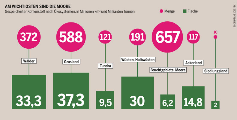 boell.de/de/bodenatlas | Feuchtgebiete und Moore sind die Ökosysteme, die weltweit am meisten Kohlenstoff im Boden speichern.