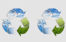 Fotolia.com | Eray-Haciosmanogl | Weniger als 40 Prozent des genutzten Plastiks wird heutzutage recycelt.