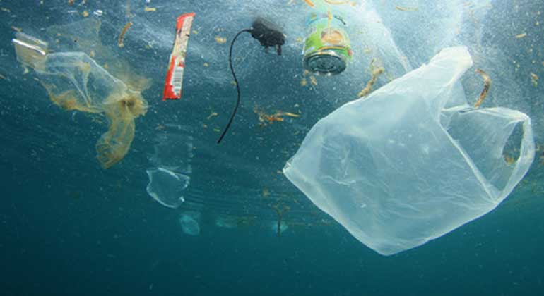 Fotolia.com | RichardCarey | Besondere Sorge bereitet der Naturschutzorganisation die weltweit wachsende Plastikflut in den Ozeanen.