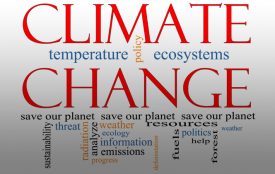 Depositphotos | mybaitshop