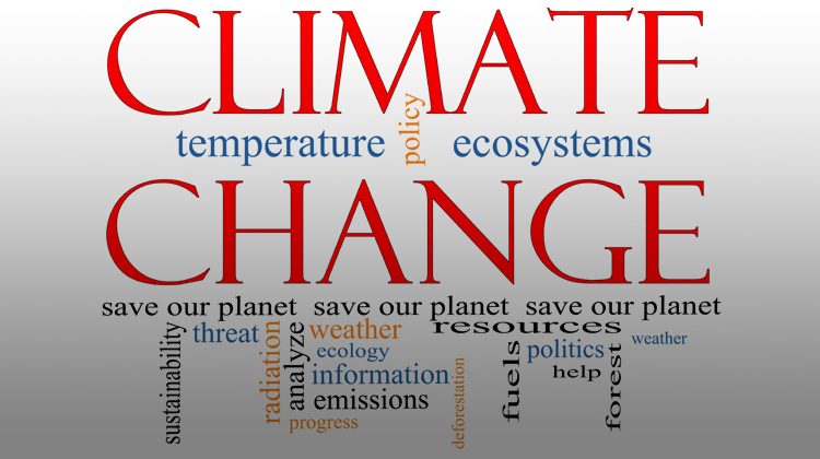 Depositphotos | mybaitshop