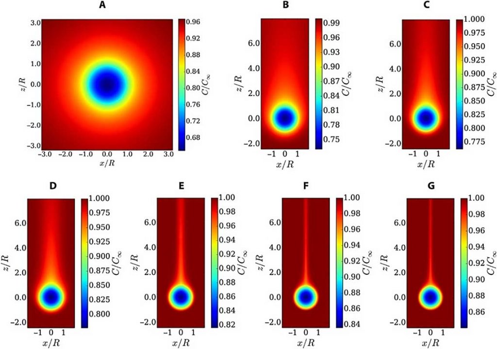 Science Advances | When the porous aggregates sink faster towards the seabed, the generated faster fluid flow can provide more oxygen to the aggregate. Hence, the oxygen content inside the aggregates increases with sinking velocity. The rate of descent is expressed by a dimensionless number, the Reynolds number (Re). The six graphs show the oxygen concentration field at Reynolds number 0 (graph A), 0.01 (B), 0.05 (C), 0.1 (D), 1 (E), 5 (F), 10 (G).