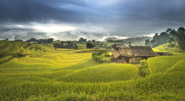 Less air pollution leads to higher crop yields, Stanford-led study shows