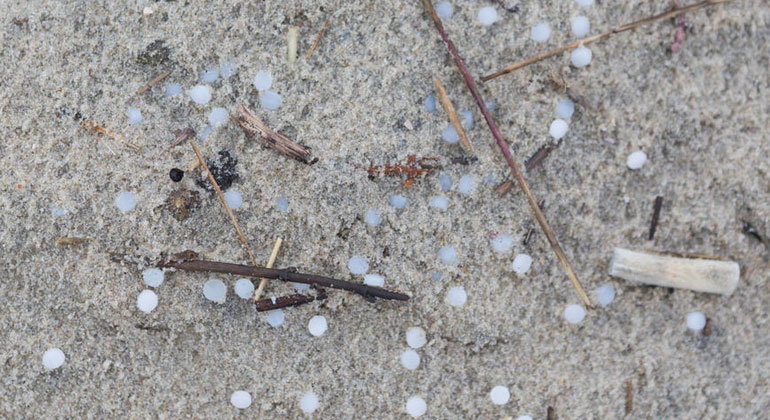 Jörg Modrow / Greenpeace | Am Strand von Borkum werden haufenweise diese grauen und weißen Plastikpartikel angeschwemmt: Granulat aus Polyethylen und Polypropylen – Rohmaterial, aus dem vermutlich Verpackungsmaterial entstehen sollte.