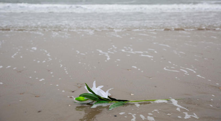 Daniel Müller / Greenpeace | Diese Blume ist nicht natürlichen Ursprungs – und darum auch keineswegs biologisch abbaubar. Die Plastikpflanze stammt ebenfalls aus der Fracht der MSC Zoe.