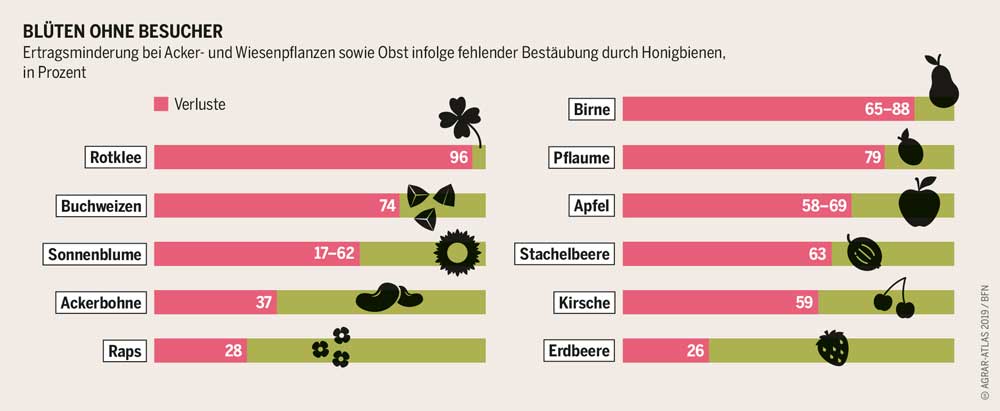 "Agraratlas 2019 von BUND, Heinrich-Böll-Stiftung, Le Monde Diplomatique"