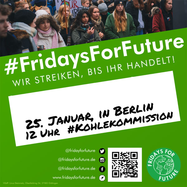 fridaysforfuture.de