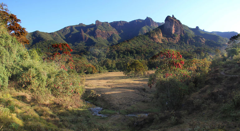 Laica ac from UK, CC BY-SA 0.2 | Another example of an area with an exceptionally high variety of forest types and thus, high regional diversity are the Mountains in Harenna Forest, Ethiopia.