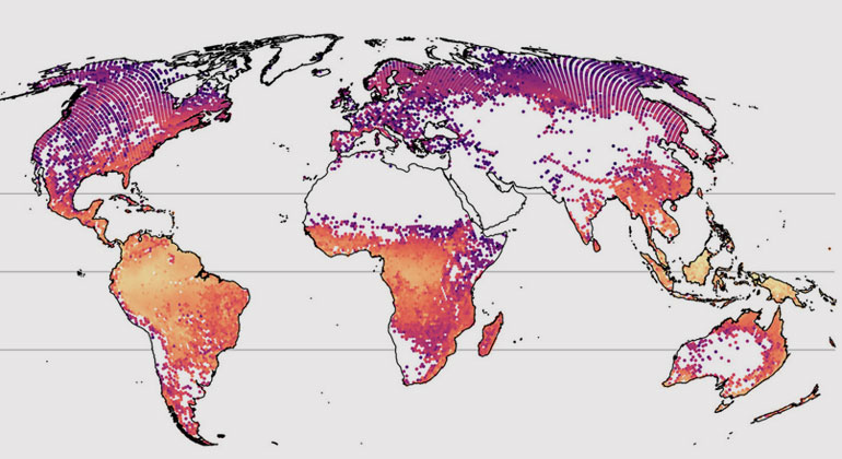 idiv.de | Petr Keil und Jonathan Chase | The first global map of species richness of trees, as produced by the new model. It illustrates the number of tree species that can be expected within areas of one hectare. The highest number of tree species (orange to yellow) can be found in the hot, humid tropics. The remaining white spaces are unforested areas.