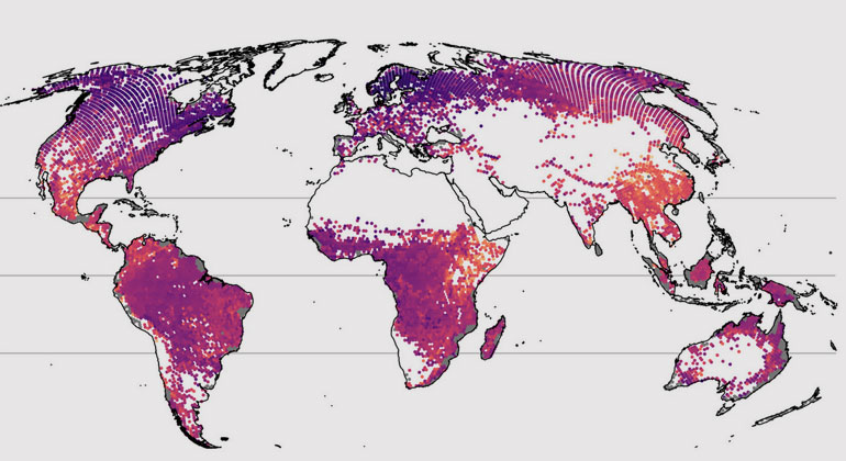 idiv.de | Petr Keil und Jonathan Chase | When tree diversity is observed on the scale of larger regions, the picture changes. A particularly high number of species (orange to yellow) can now be observed in mountainous areas like southern China, Mexico, or in the Ethiopian highlands, which all have high beta diversity.