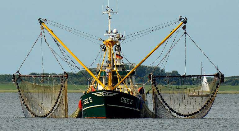 Bottom trawling endangers many species