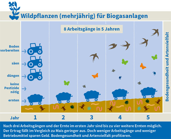 baden-wuerttemberg.nabu.de