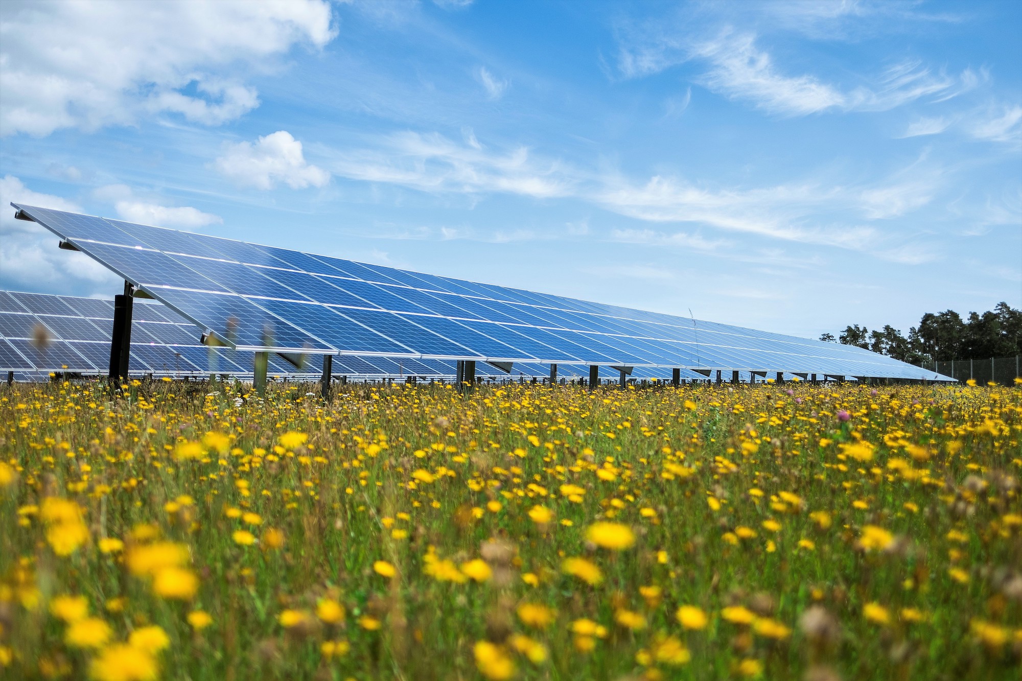 WES Green GmbH | Solarparks schaffen neue Räume