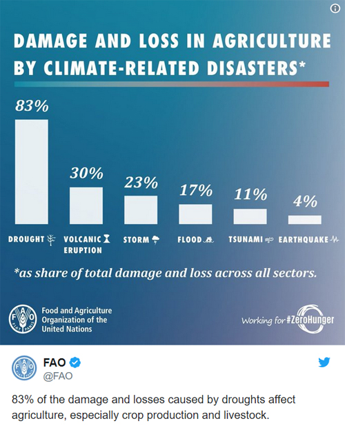 fao.org | Grafik 2