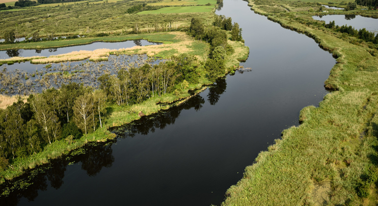 Solvin Zankl | Rewilding Europe | Der Fluss Peene und Überschwemmungsgebiete beim Anklamer Stadtbruch in Deutschland.