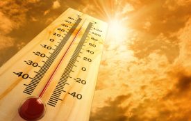 Depositphotos | VladisChern | "Während wir in dieser Woche in Europa Temperaturen von möglicherweise bis zu 40 °Celsius befürchten, verzeichnete Indien kürzlich Temperaturrekorde von über 50° Celsius. Hitzewellen können eine Gesellschaft hart treffen, etwa indem sie zu zusätzlichen Todesfällen in gefährdeten Gruppen wie bei alten Menschen und Kindern führen," Stefan Rahmstorf.