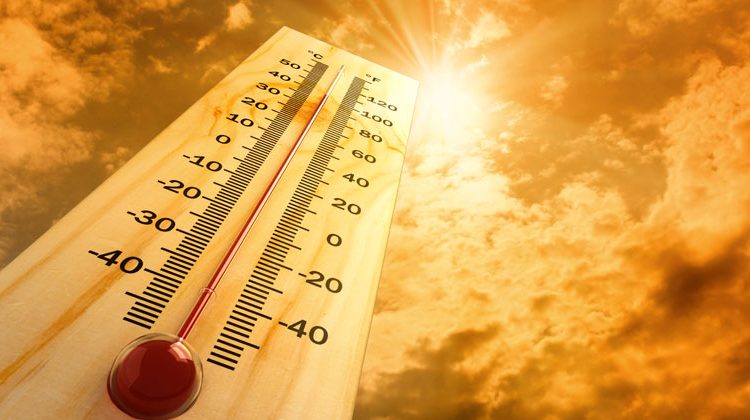 Depositphotos | VladisChern | "W&auml;hrend wir in dieser Woche in Europa Temperaturen von m&ouml;glicherweise bis zu 40 &deg;Celsius bef&uuml;rchten, verzeichnete Indien k&uuml;rzlich Temperaturrekorde von &uuml;ber 50&deg; Celsius. Hitzewellen k&ouml;nnen eine Gesellschaft hart treffen, etwa indem sie zu zus&auml;tzlichen Todesf&auml;llen in gef&auml;hrdeten Gruppen wie bei alten Menschen und Kindern f&uuml;hren," Stefan Rahmstorf.