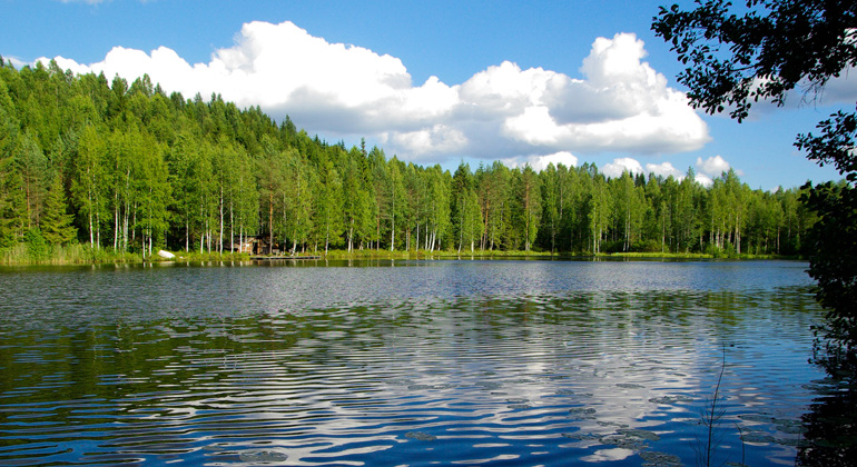 Microplastic pollution: some lakes are worse impacted than oceans