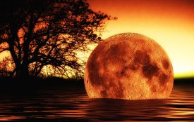 pixabay.com | geralt