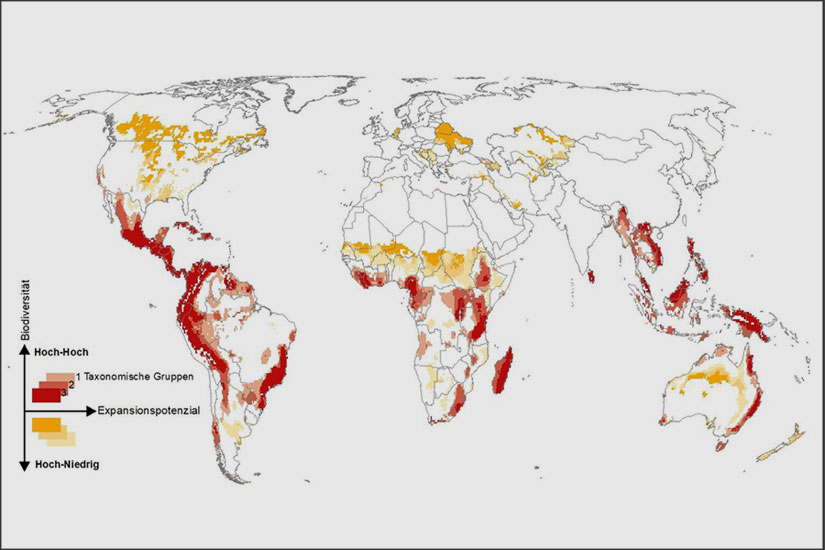 ufz.de | Florian Zabel / Tomáš Václavík | The world map illustrates where an expansion of agricultural use will pose a particular threat to biodiversity (red markings). In contrast, the areas marked in yellow show a low biodiversity. An expansion of agricultural land in these regions would therefore mean less loss of biodiversity.