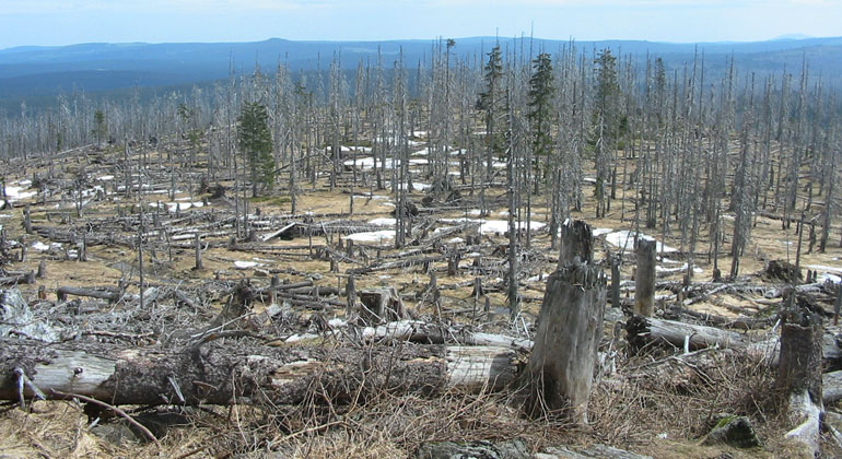 Wer Klimawissen nutzt, fährt besser