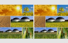 Fotolia.com | JuergenFaelchle