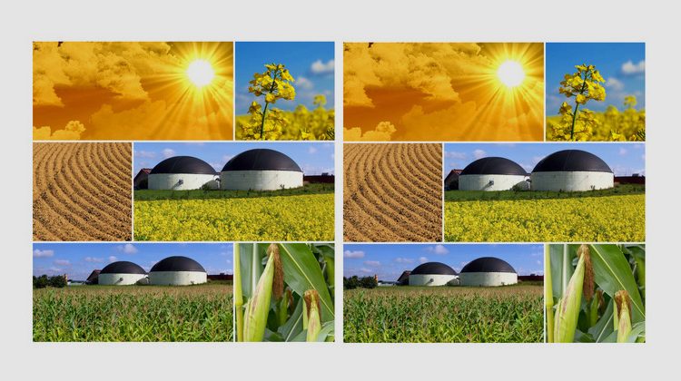 Fotolia.com | JuergenFaelchle