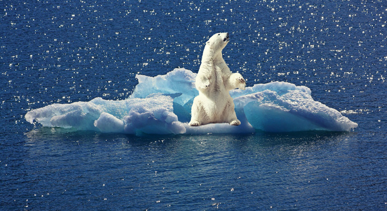 Strategien gegen die Desinformation zum Klimawandel