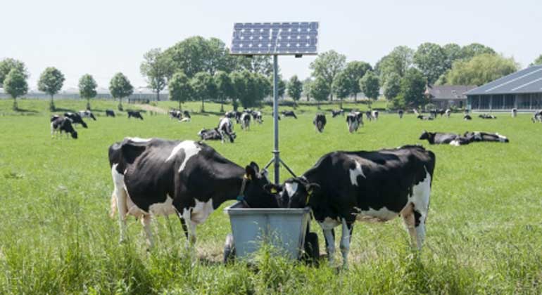 IPPC-Bericht belegt: Landwirtschaft muss sich ändern